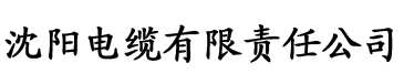 日韩欧美理论片在线观看电缆厂logo